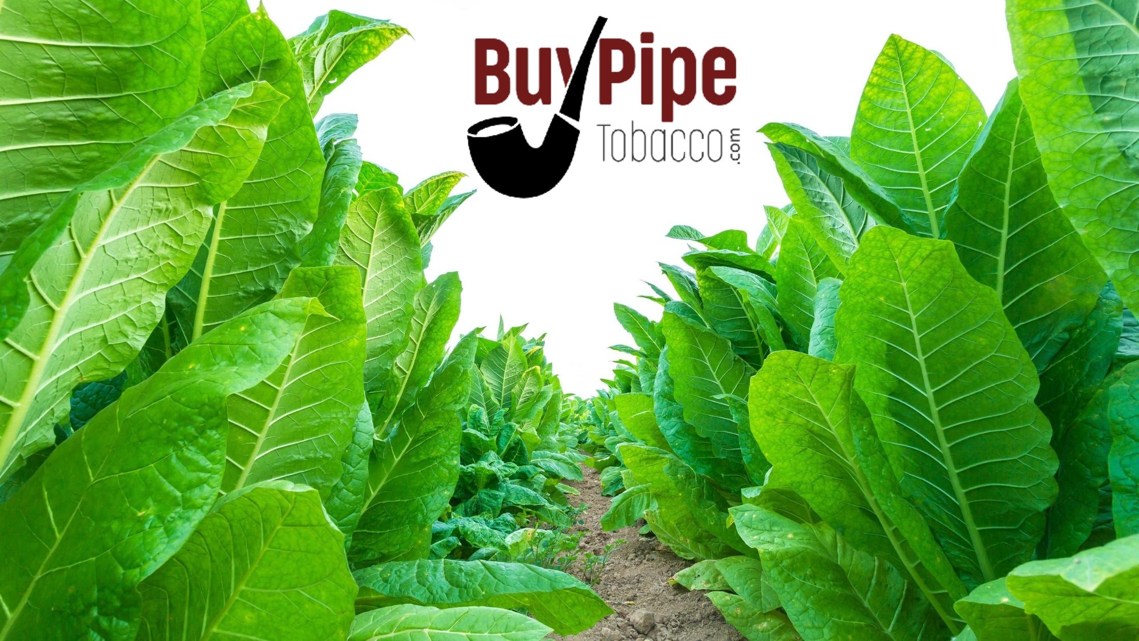 The Top 10 Most Affordable RYO Pipe Tobacco Brands