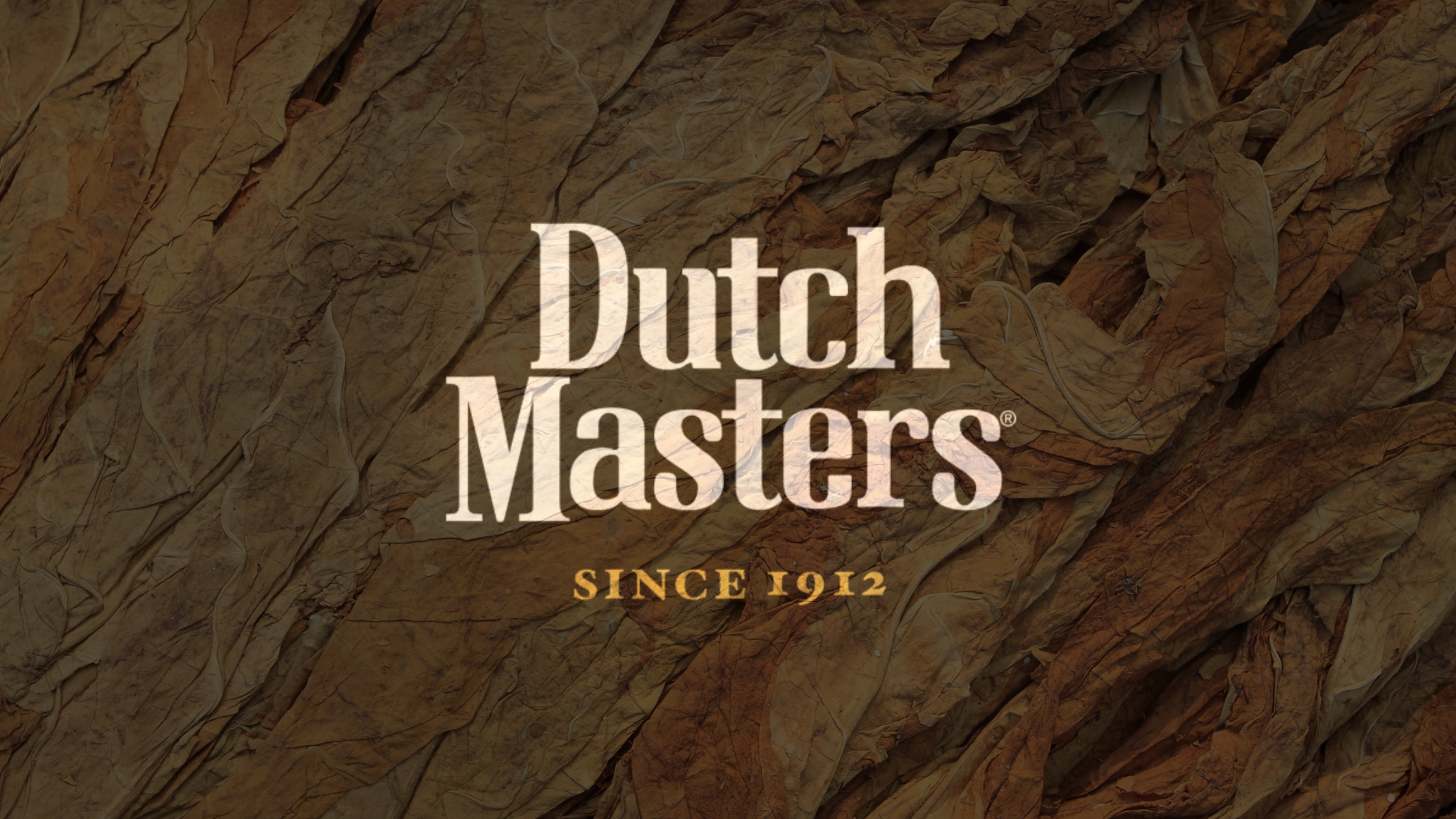 Discover The Best-Selling Dutch Flavors Out Now