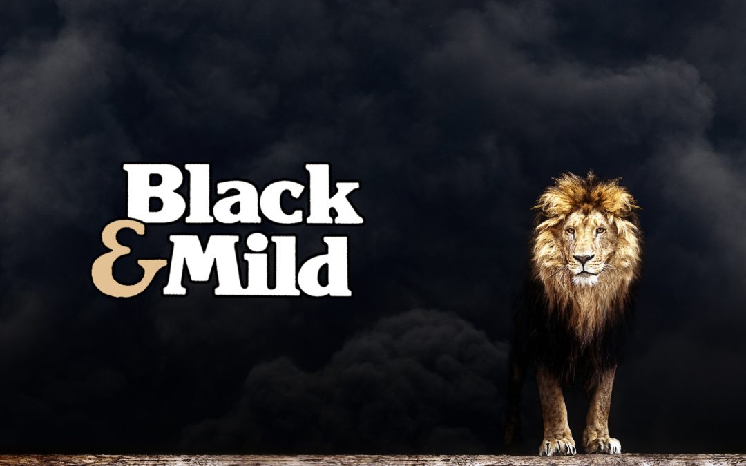 Black and Mild Flavors