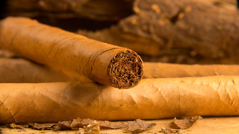How long do cigars last? Answered.