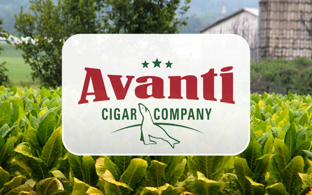 Avanti Cigars