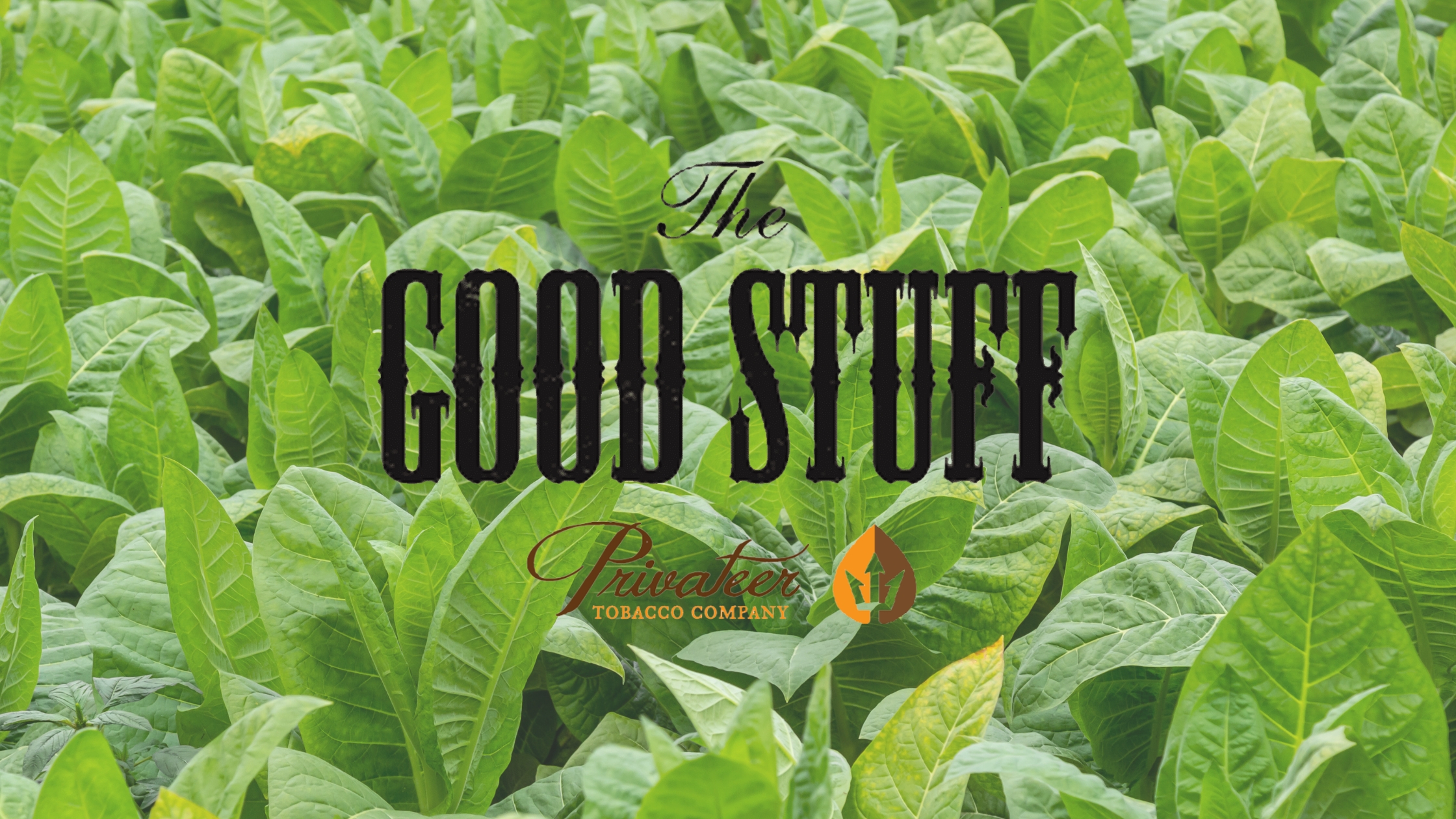 Now Discover Everything There’s to Know About The Good Stuff Tobacco