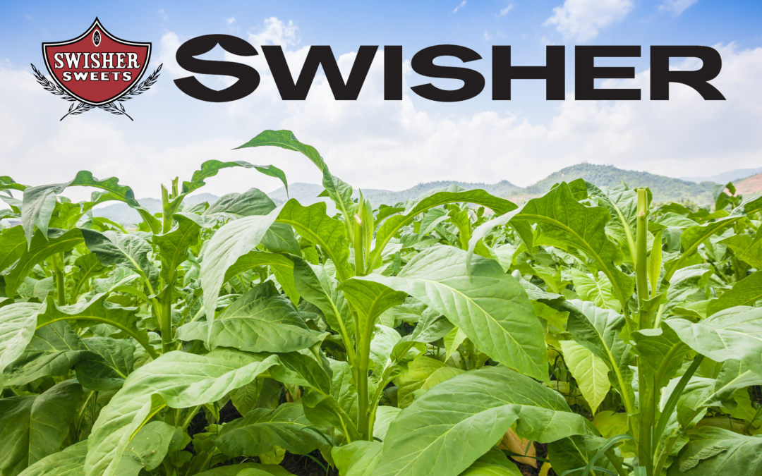 The Top 10 Questions About Swisher Sweets Answered