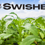 The Top 10 Questions About Swisher Sweets Answered