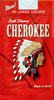 Cherokee Little Cigars Full Flavor 100